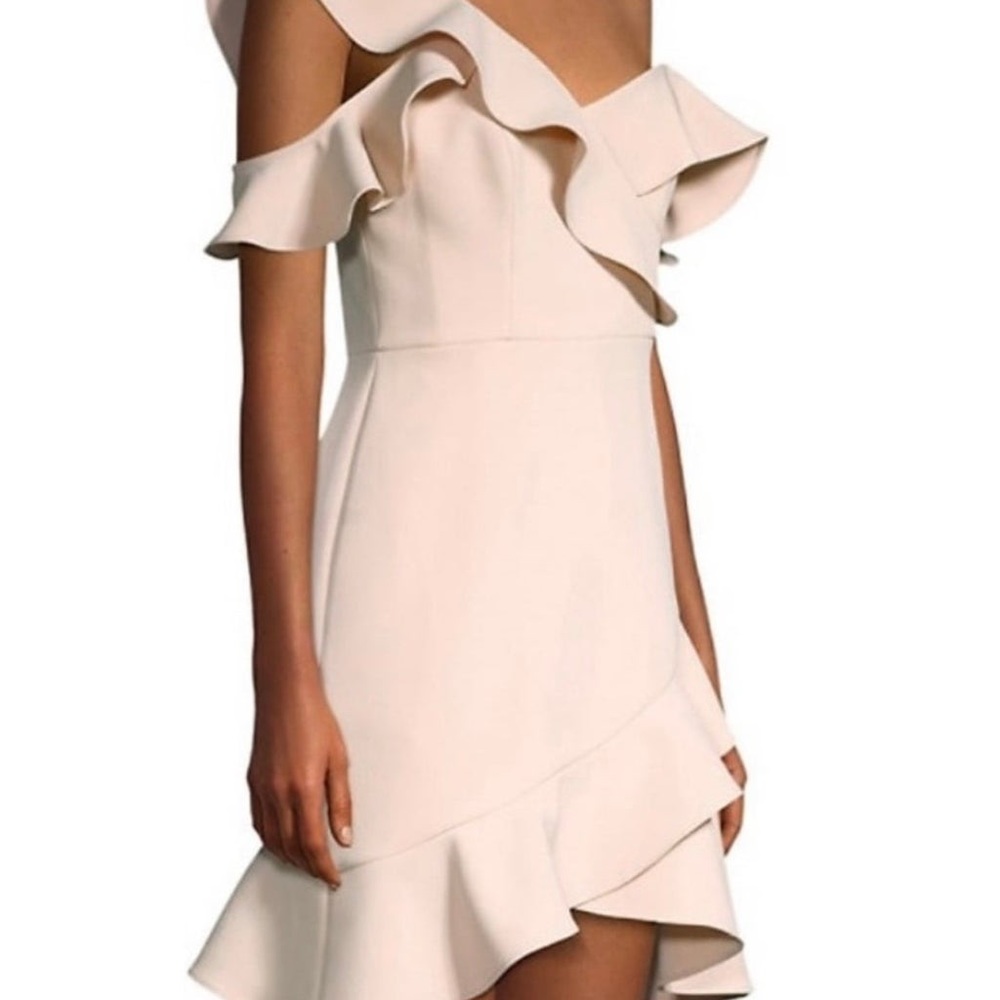 BCBG Maxazria cocktail dress